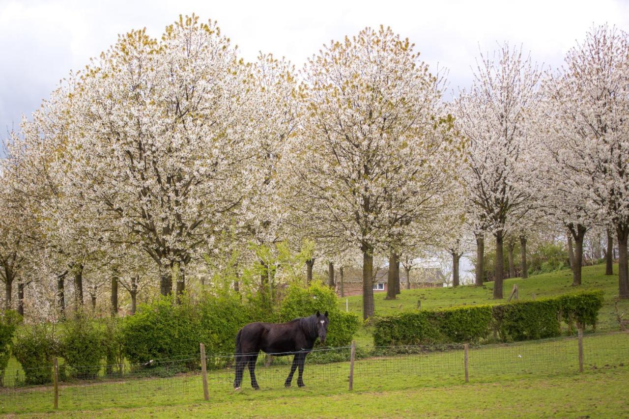 Sibbliem Luxury Ferienhaus Valkenburg aan de Geul